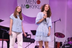 Sveciuose-Birstono-meno-mokyklos-mokiniai-6