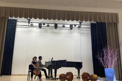 Violonceles-garsu-palete-1