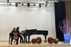 Violonceles-garsu-palete-2