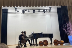 Violonceles-garsu-palete-3