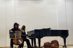 Violonceles-garsu-palete-4