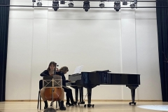 Violonceles-garsu-palete-5