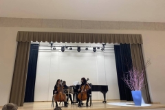 Violonceles-garsu-palete-6
