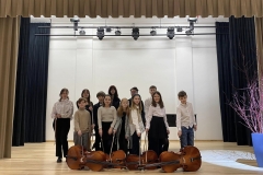 Violonceles-garsu-palete-8